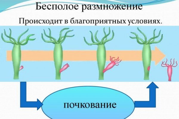 Ссылка кракен kr2web in